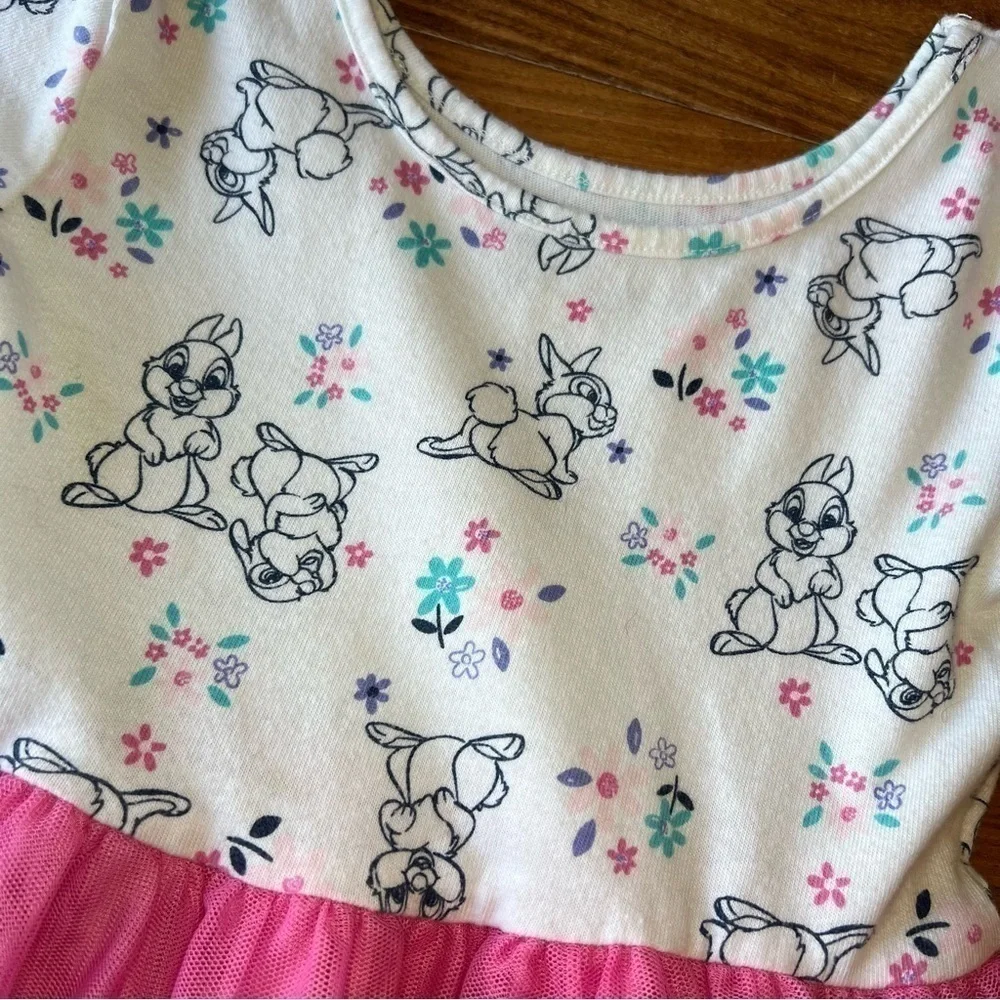 Disney Store Alice in Wonderland & Bambi (Thumper) Dress Bundle x2